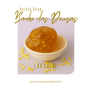 Lakshmi -Abundância - Prosperidade